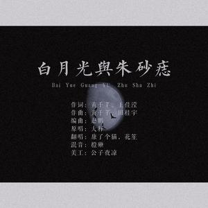 朱砂痣与白月光