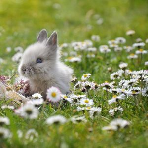 你每个新朋友，都像我的假想敌