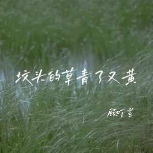 坟头的草青了又黄
