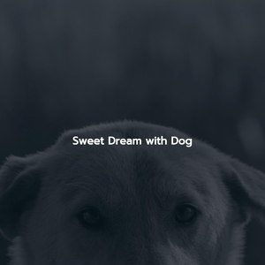 Soulful Waltz - Vibe for Fresh Changes