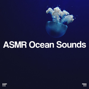 平静的海洋声音
