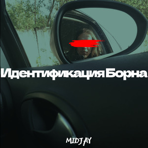 Идентификация Борна