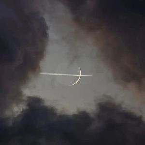 等你的日子不值一提