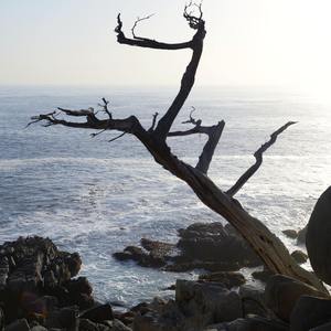 “17℃” lofi boombap beat