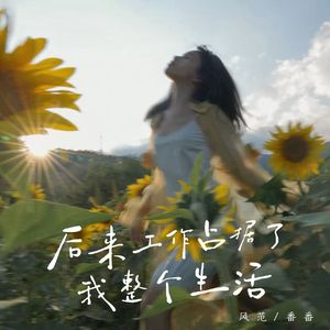 后来工作占据了我整个生活