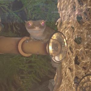 Klonopins (Metti Moore)