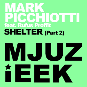 Shelter (Mark Picchiotti Nu Disco Dub)