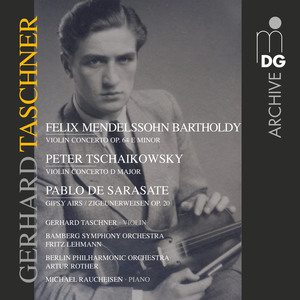 Violin Concerto in D Major, Op. 35: I. Allegro moderato