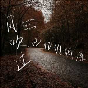 风吹过记忆的街道