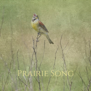 Prairie Song