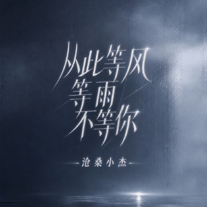 从此等风等雨不等你