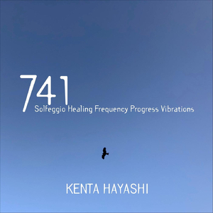 741 Solfeggio Healing Frequency Progress Vibrations