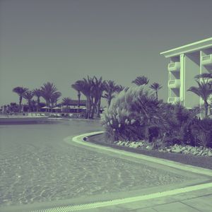 抚慰的奢华回忆