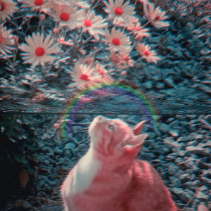 앞날이 보이지 않아서