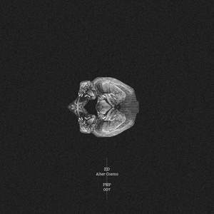 Alter (Original mix)