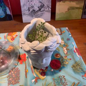 倔强（吉他女声）