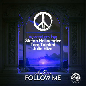 Follow Me (Tom Tainted Remix)