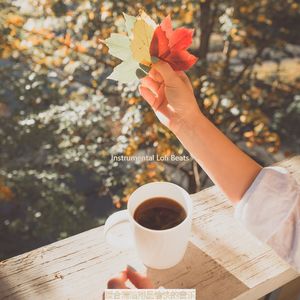 适合放松的时尚的音乐