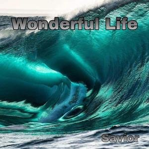 Stefan Gruenwald Lokee-Wonderful Life（Savior remix）