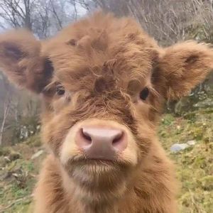 只字不提（cover于和伟）