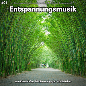 Hintergrundmusik im Tal