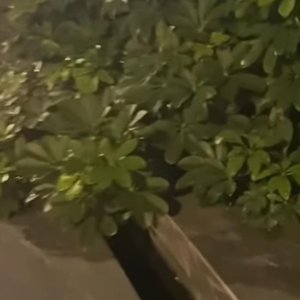 水流声