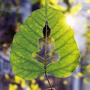 西湖梦，画中游