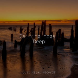 Echoes of Twilight Skies