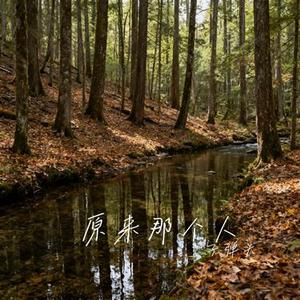 原来那个人 (Cover 刘雨昕 & 姚晓棠)