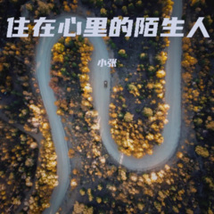 住在心里的陌生人