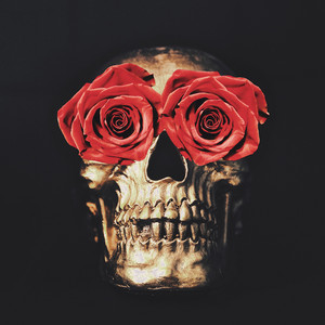 Cut Me Like a Rose