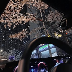 那年夏天藏起的雨