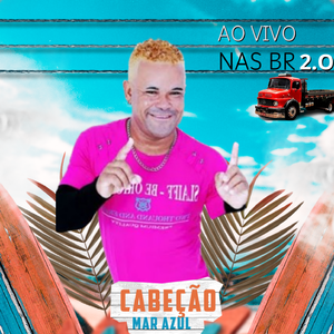 Perdoar
