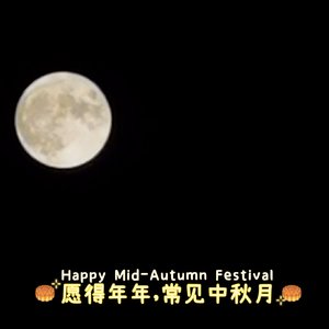 褪色承诺