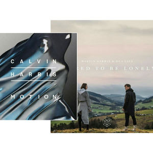 Calvin Harris / Martin Garrix / Ellie Goulding - Outside The Lonely（张晋瑞 remix）