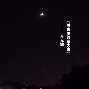 黑夜里的萤火虫（慢节奏版）