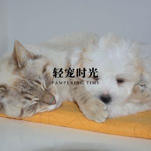 欢宠乐章 (陪伴成长)