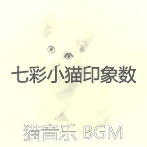 抚慰的睡猫回忆