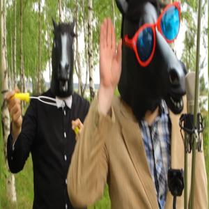 Miers Un Bērziņš