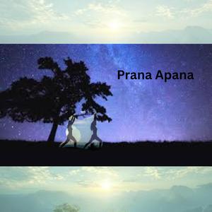 Prana Apana