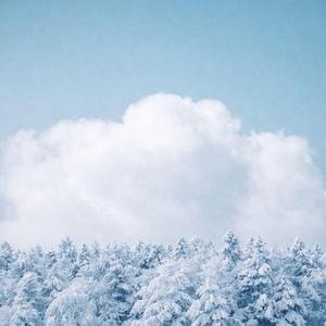 Nothing Felt Out of Place