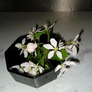 Hey! Girl! Where are you?