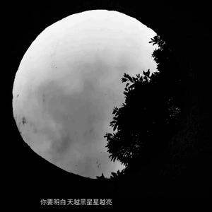 如果（翻自：菠萝赛东和Bo Peep）