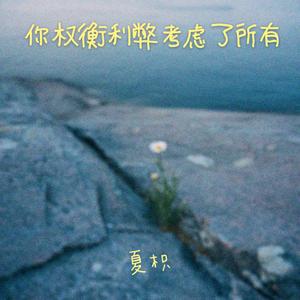 你权衡利弊考虑了所有