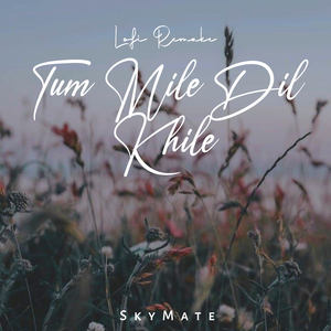 Tum Mile Dil Khile (Lofi)