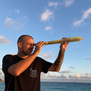 Chicken Eats My Kitten