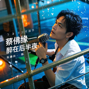 蔡佛缘 - 醉在后半夜