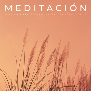 Meditación Analítica