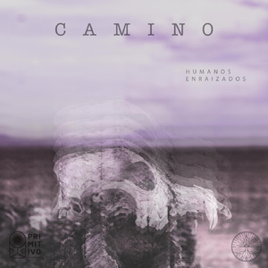 Camino