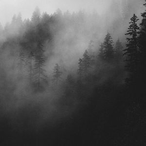 地狱空荡荡 魔鬼在人间